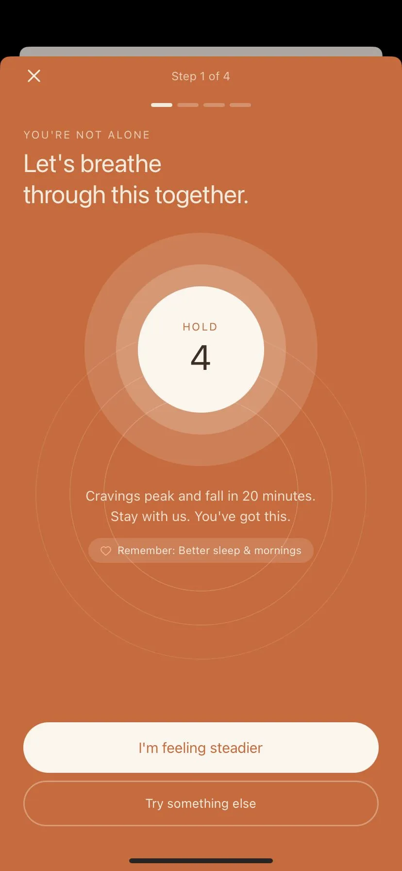 The Sober Tracker by Embr SOS guided breathing screen with a pulsing terracotta circle